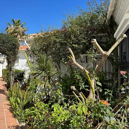 Paradise - Rayo De Sol Нерха